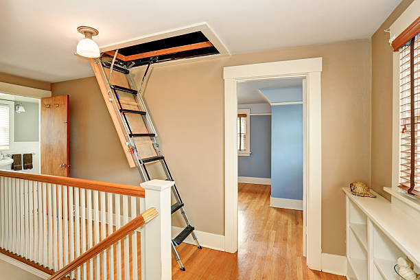 Learn what are definitely the characteristics that can make loft ladders get noticed post thumbnail image