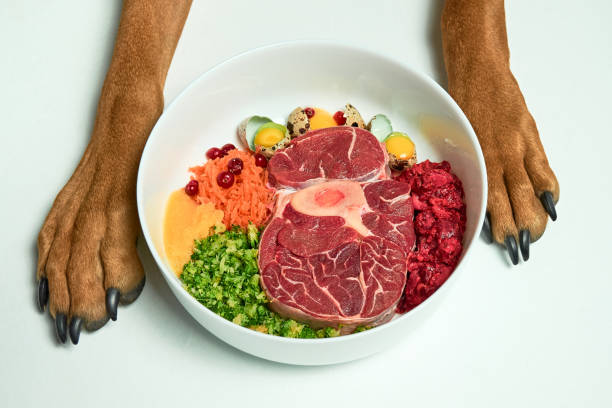 The Cost of Feeding Your Pet raw Dog Food post thumbnail image