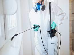 Keep Homes and Businesses Safe from Pesky Pests with Professional Pest control in Las Vegas post thumbnail image