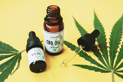 CBD Dog Chews with CBD Concentrate For Sale – Get the Maximum CBD Benefits In One Treat post thumbnail image