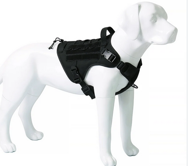 Learn how to much better management the stroll of your domestic pets by using a custom dog harness post thumbnail image