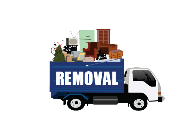 Essential Insurances to Consider When Starting a Junk removal Business post thumbnail image
