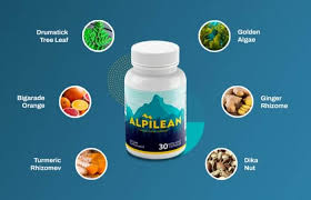 Alpilean or Alpine Ice Hack Review – What Do Customers Really Think? post thumbnail image