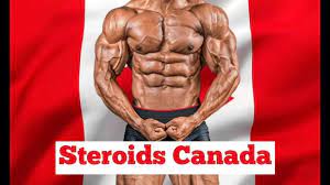 Reap the Benefits: Canadian Steroids for Muscle Building and Recovery post thumbnail image