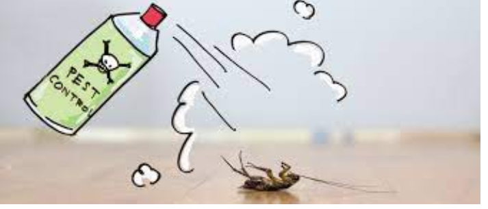 The Potential Risks of DIY Pest Control post thumbnail image