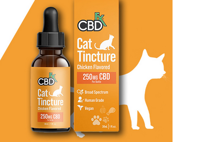 CBD Treats for Cats with Dental Issues: Supporting Oral Health post thumbnail image