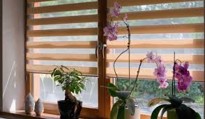 Timeless Elegance: Classic Blinds That Never Go Out of Style post thumbnail image